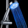 Blue ABS LED Color Changing Hand Shower