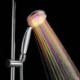 Color Changing LED Chrome Finish Hand Shower - without Shower Holder