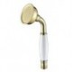 Contemporary Brass Handled Shower Head Ti-PVD Finish