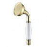 Contemporary Brass Handled Shower Head Ti-PVD Finish