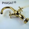Antique Ti-PVD Brass Widespread
