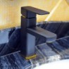 Contemporary Black Painting One Hole Single Handle  Bathroom Sink Tap