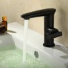 Sink Tap Centerset with Painting Single Handle One Hole