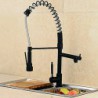 All Copper Spring Tap The Kitchen Double Kong Shuang Classic Black Water Tap