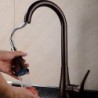 Kitchen Tap Antique Pullout Spray/Sidespray/Pre Rinse Brass Oil-rubbed Bronze